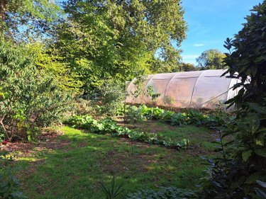 Terrain a batir a vendre Rédené 29300 Finistère 936 m2  109725 euros