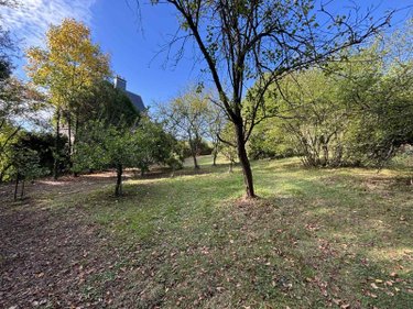 Terrain a batir a vendre Flize 08160 Ardennes 1200 m2  99500 euros