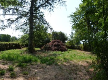 Maison a vendre Méasnes 23360 Creuse 75 m2 4 pièces 30000 euros