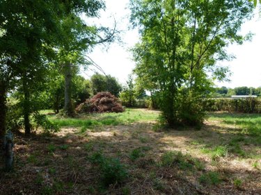 Maison a vendre Méasnes 23360 Creuse 75 m2 4 pièces 30000 euros