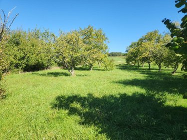 Maison a vendre Rouvres-les-Vignes 10200 Aube 117 m2 4 pièces 150000 euros
