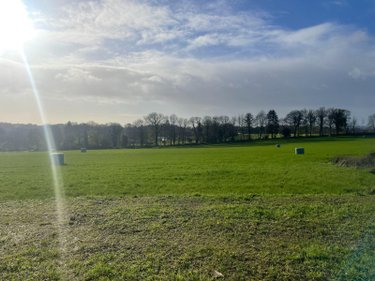 Maison a vendre Silfiac 56480 Morbihan 68 m2 3 pièces 169000 euros