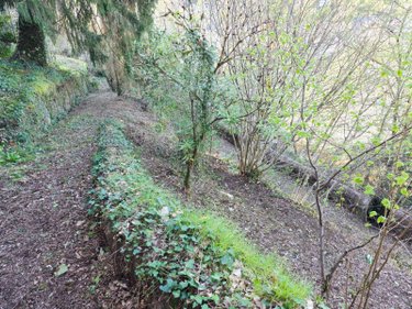 Maison a vendre Tulle 19000 Corrèze 250 m2 9 pièces 147560 euros