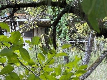 Terrains de loisirs bois etangs a vendre Saint-Amand-Montrond 18200 Cher 4220 m2  11000 euros