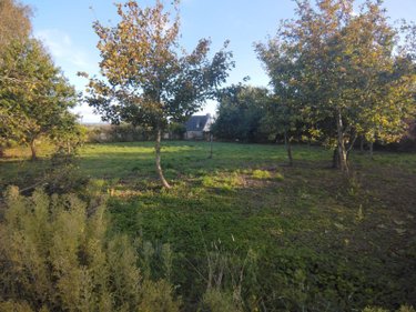 Terrain a batir a vendre Guimaëc 29620 Finistère 665 m2  50000 euros