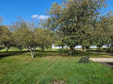 Maison a vendre Saint-Aubin-du-Pavail 35410 Ille-et-Vilaine 76 m2 4 pièces 230560 euros