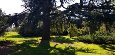 propriete a vendre Thénioux 18100 Cher 300 m2 9 pièces 522500 euros