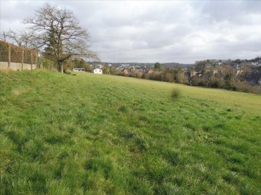 Terrain a batir a vendre Condé-en-Normandie 14110 Calvados 10633 m2  74800 euros