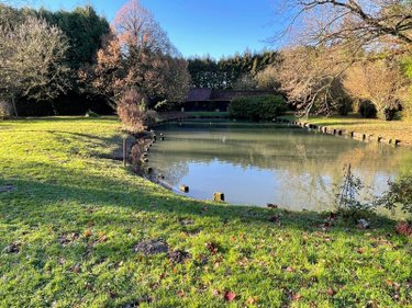 propriete a vendre Rollancourt 62770 Pas-de-Calais 380 m2  499080 euros