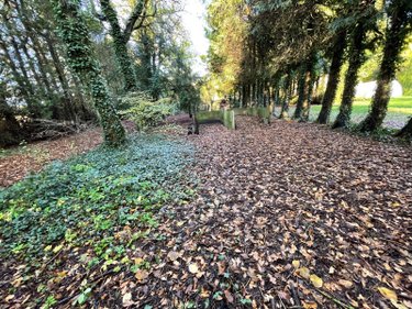 propriete a vendre Rollancourt 62770 Pas-de-Calais 380 m2  499080 euros