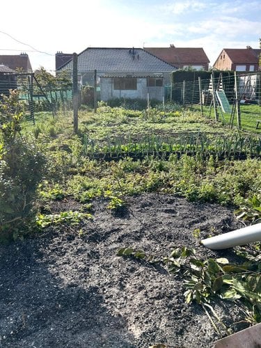 Maison a vendre Killem 59122 Nord 87 m2 5 pièces 86250 euros