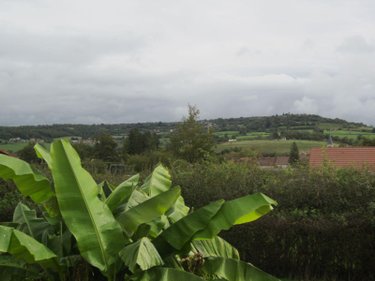 Maison a vendre Joncy 71460 Saône-et-Loire 102 m2 5 pièces 168280 euros