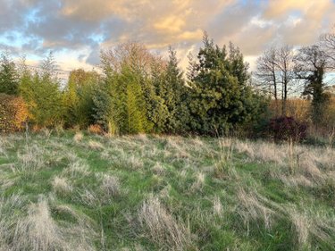 Bien agricole a vendre Langolen 29510 Finistère  37800 euros