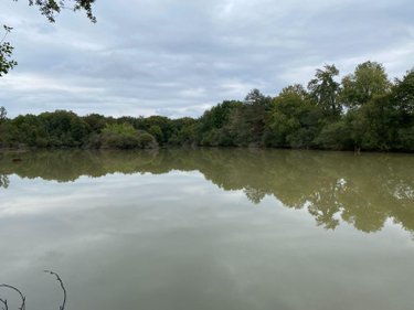 Terrains de loisirs bois etangs a vendre Mézières-en-Brenne 36290 Indre 91906 m2  128400 euros