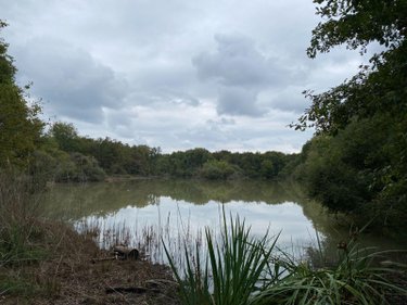 Terrains de loisirs bois etangs a vendre Mézières-en-Brenne 36290 Indre 91906 m2  128400 euros