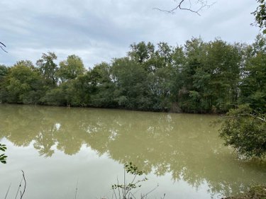 Terrains de loisirs bois etangs a vendre Mézières-en-Brenne 36290 Indre 91906 m2  128400 euros