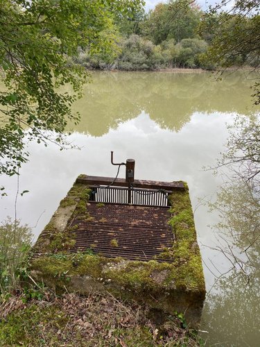 Terrains de loisirs bois etangs a vendre Mézières-en-Brenne 36290 Indre 91906 m2  128400 euros