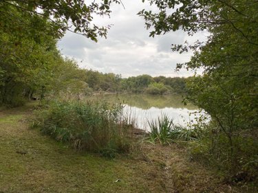 Terrains de loisirs bois etangs a vendre Mézières-en-Brenne 36290 Indre 91906 m2  128400 euros
