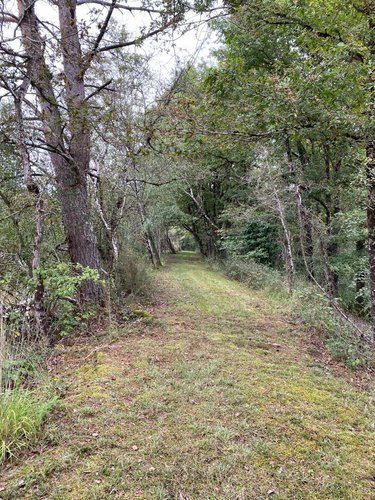 Terrains de loisirs bois etangs a vendre Mézières-en-Brenne 36290 Indre 91906 m2  128400 euros