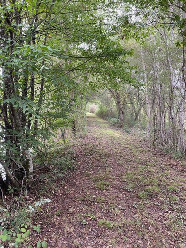 Terrains de loisirs bois etangs a vendre Mézières-en-Brenne 36290 Indre 91906 m2  128400 euros