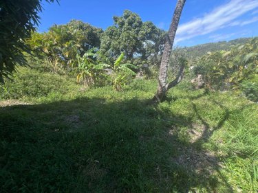 Terrain a batir a vendre La-Montagne 97417 Réunion 516 m2  190800 euros