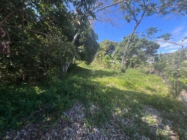 Terrain a batir a vendre La-Montagne 97417 Réunion 516 m2  190800 euros
