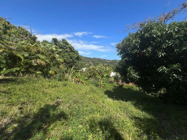 Terrain a batir a vendre La-Montagne 97417 Réunion 516 m2  190800 euros