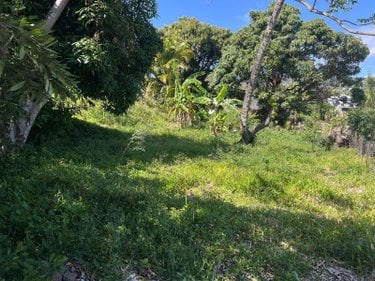 Terrain a batir a vendre La-Montagne 97417 Réunion 516 m2  190800 euros