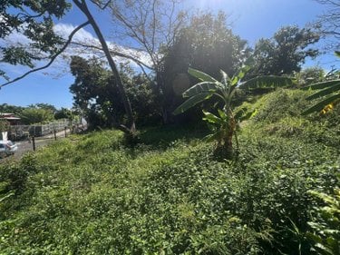 Terrain a batir a vendre La-Montagne 97417 Réunion 516 m2  190800 euros