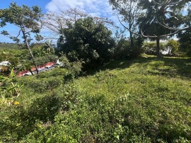 Terrain a batir a vendre La-Montagne 97417 Réunion 516 m2  190800 euros