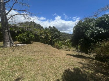 Terrain a batir a vendre La-Montagne 97417 Réunion 516 m2  149800 euros