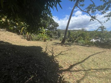 Terrain a batir a vendre La-Montagne 97417 Réunion 516 m2  149800 euros