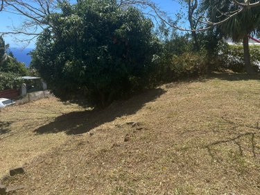 Terrain a batir a vendre La-Montagne 97417 Réunion 516 m2  149800 euros