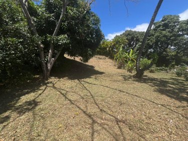 Terrain a batir a vendre La-Montagne 97417 Réunion 516 m2  149800 euros