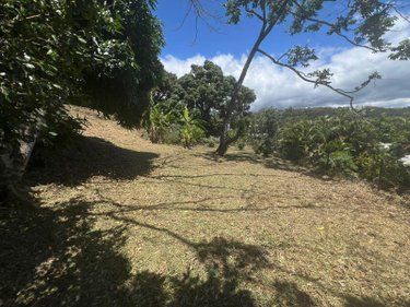 Terrain a batir a vendre La-Montagne 97417 Réunion 516 m2  149800 euros
