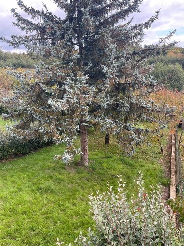 Maison a vendre Courdemanche 72150 Sarthe 73 m2 6 pièces 98440 euros