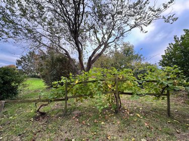 Maison a vendre Roz-sur-Couesnon 35610 Ille-et-Vilaine 165 m2 6 pièces 285617 euros