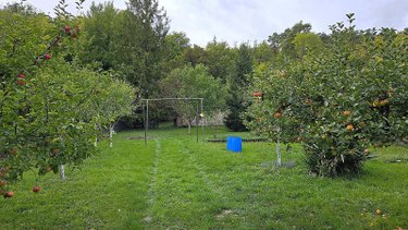 Bien agricole a vendre Vitry-en-Perthois 51300 Marne  11000 euros