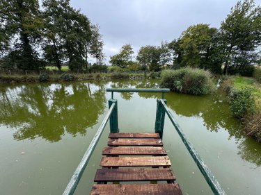 Terrains de loisirs bois etangs a vendre Sougeal 35610 Ille-et-Vilaine 1948 m2  31436 euros