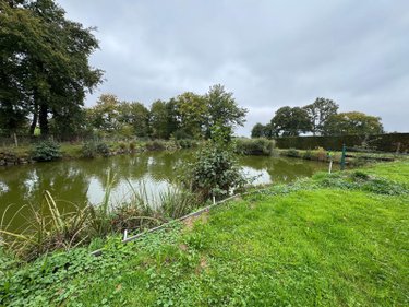 Terrains de loisirs bois etangs a vendre Sougeal 35610 Ille-et-Vilaine 1948 m2  31436 euros
