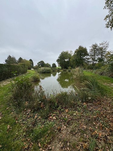 Terrains de loisirs bois etangs a vendre Sougeal 35610 Ille-et-Vilaine 1948 m2  31436 euros