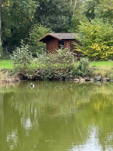 Terrains de loisirs bois etangs a vendre Sougeal 35610 Ille-et-Vilaine 1948 m2  31436 euros