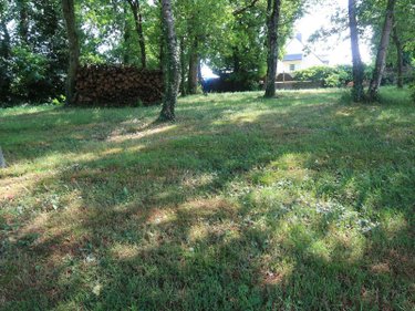 Terrain a batir a vendre Vignoc 35630 Ille-et-Vilaine 2100 m2  218376 euros