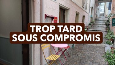 Appartement a vendre Aix-les-Bains 73100 Savoie 50 m2  137000 euros