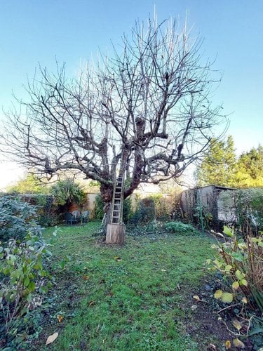 Maison a vendre Rennes 35000 Ille-et-Vilaine 119 m2 6 pièces 426400 euros