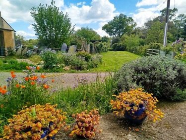 Location maison Bains-sur-Oust 35600 Ille-et-Vilaine 61 m2 2 pièces 730 euros