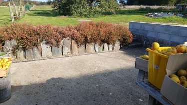 Location maison Bains-sur-Oust 35600 Ille-et-Vilaine 61 m2 2 pièces 730 euros