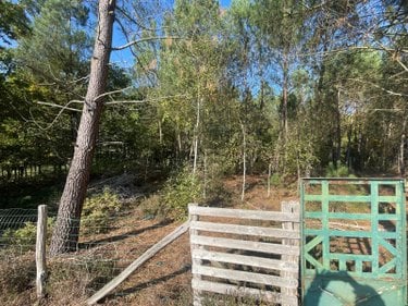 Maison a vendre Challes 72250 Sarthe 175 m2 13 pièces 294000 euros