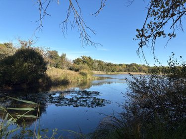 Maison a vendre Neuillay-les-Bois 36500 Indre 25 m2  100700 euros