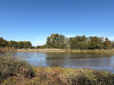 Maison a vendre Neuillay-les-Bois 36500 Indre 25 m2  100700 euros